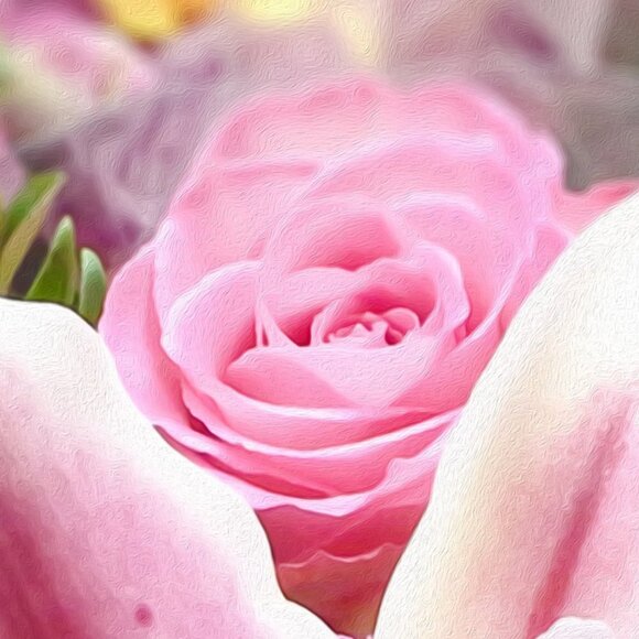 Asiatic Lily Rosella’s Dream Pink Flowers Closeup Oil Painting Art Poster Print - Picture 3 of 5